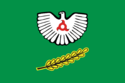 Flag of Nazran (Ingushetia).png