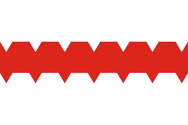 File:Flag of Omsk.svg