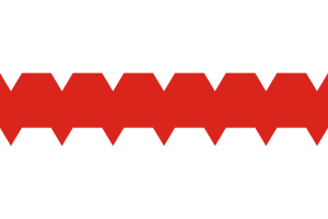 Flag of Omsk.svg