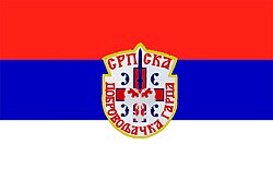 Flag of the Serbian Volunteer Guard.jpg