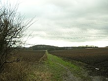 Footpath from Kippax to Mary Panel Hill in West Yorkshire Footpath from Kippax to Mary Panel - geograph.org.uk - 121926.jpg