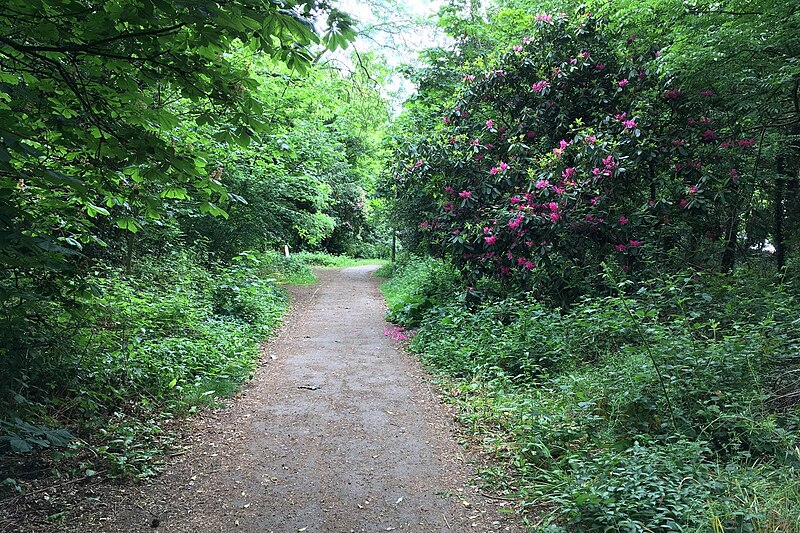 File:Footpath towards the school - geograph.org.uk - 6169380.jpg