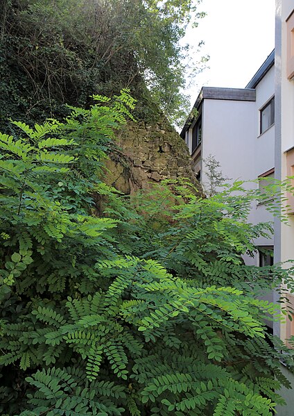 File:Güssing - Stadtmauer, südwestlich nächst Hauptstraße 3 (rückseitig).JPG