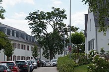 Maria-Herbert-Straße