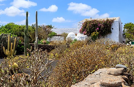 Museo Agrícola el Patio Lanzarote