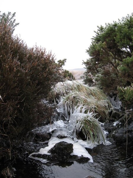 File:Girsonsfield Burn - geograph.org.uk - 635302.jpg