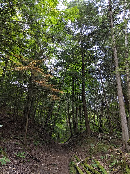 File:Glen Major Trail in East Duffins Headwaters - 03.jpg