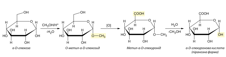 Отримання глюкуровної кислоти із глюкози через метилглюкозид