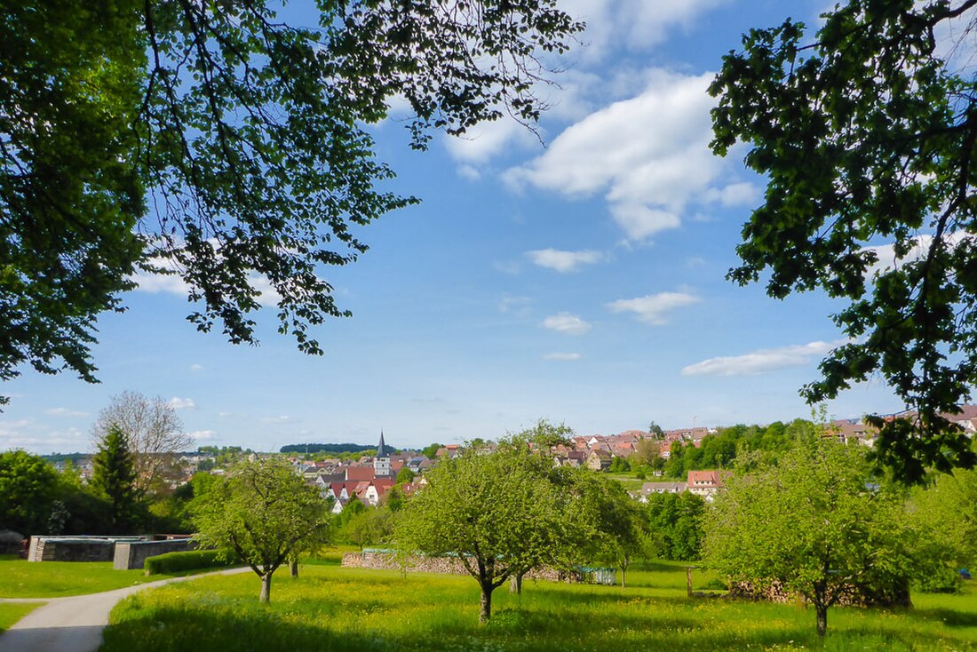 Grafenau (Badenia-Wirtembergia)