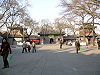 Guangji Temple Main Garden.jpg