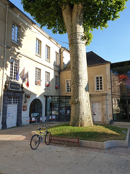 File:Hôtel de ville de Cusset avec son platane et pince-roues vélo.jpg