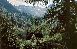 Hochwildstelle (links) und Kleine Wildstelle (Mitte) vom Hüttensee (Seewigtal) aus gesehen