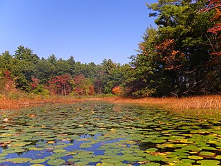 <span class="mw-page-title-main">Hampton Ponds State Park</span> State park in Hampden County, Massachusetts