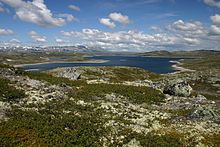 Much of the Hardangervidda plateau in the Norway is believed to be an uplifted part of the peneplain Hardangerviddaflora.jpg