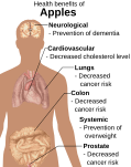 صورة SVG جديدة