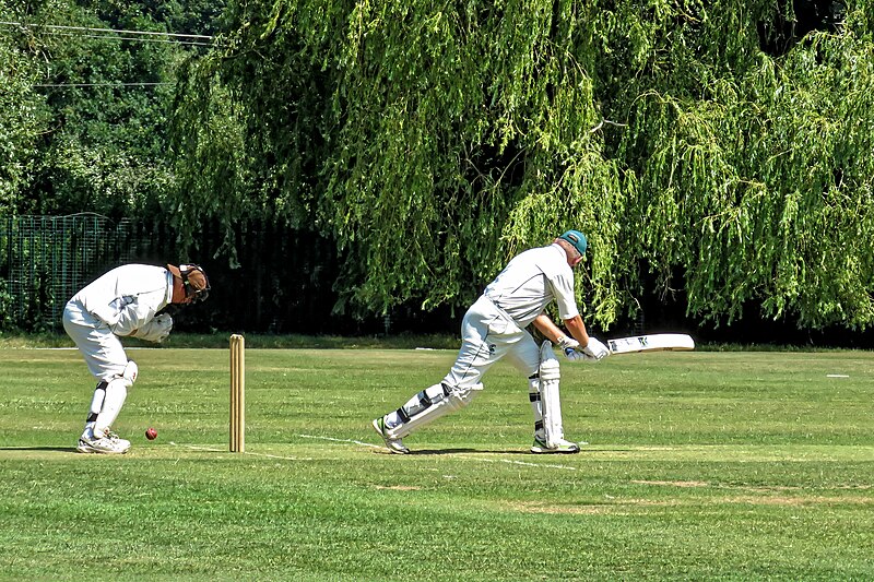File:Hertfordshire County Cricket Club v Berkshire County Cricket Club at Radlett, Herts, England 003.jpg