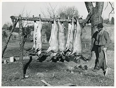 Hog Killing on Milton Puryear Place, Dennison, Halifax County, Marion Post Wolcott, 1939