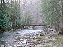 Thumbnail image of the Holly River flowing through Holly River State Park