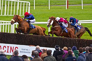 Horse Racing at Fairyhouse.jpg