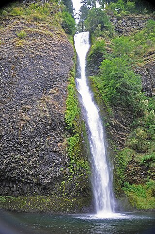 <span class="mw-page-title-main">Horsetail Falls (Oregon)</span> Waterfall in Columbia River Gorge