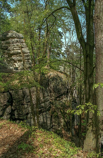 File:Hruboskalsko (nature reserve) 03(js).jpg