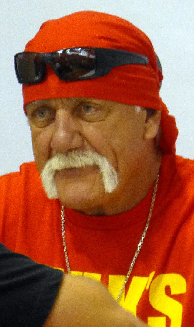 Hulk Hogan picture picture