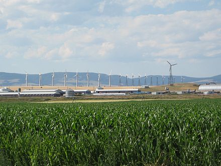 Hutterite colony in Martinsdale, Montana, with an array of reconditioned Nordtank wind turbines