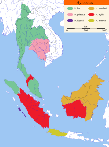 Distribución das seis especies do xénero