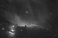 IC 434 Ha LR 2.jpg