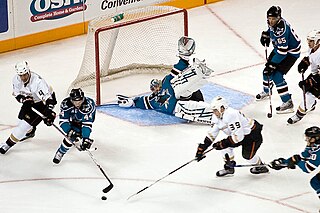 Ice hockey in India