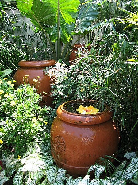 File:Inside the Conservatory.jpg