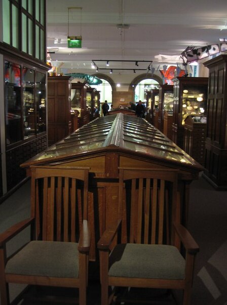 File:Inside the Sedgwick Museum - geograph.org.uk - 1035227.jpg