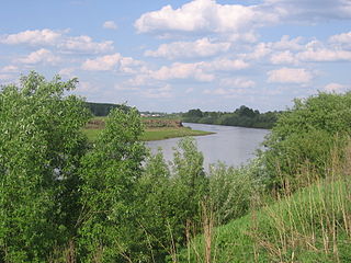 Inya River river in Russia