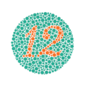 Farbtafel „12“ (Übungskarte. Nur völlig Farbenblinde können die „12“ nicht erkennen)