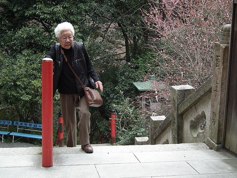 File:Iyadaniji 剣五山 千手院 弥谷寺(香川県三豊市) 四国八十八箇所霊場の第七十一番札所 DSCF7878.JPG