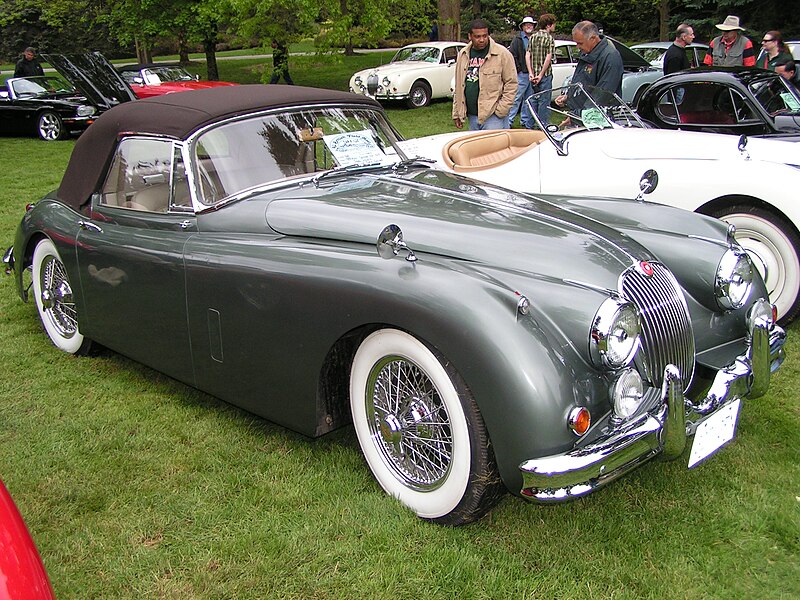 File:Jaguar (515139946).jpg