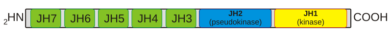 File:Jak domain structure.svg