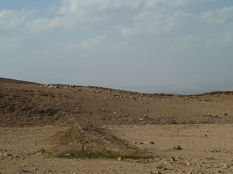 File:Jordan Valley - Mount Nebo Road P1090049.JPG