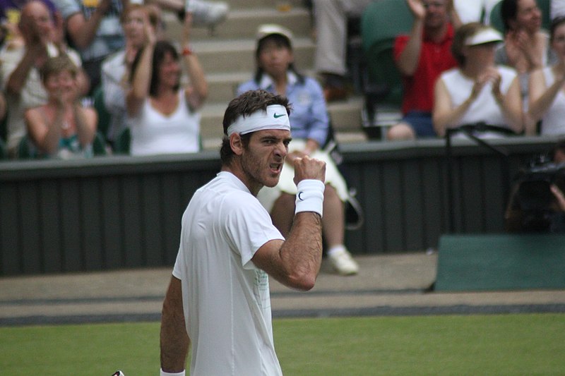 File:Juan Martin Del Potro 2011 Wimbledon.jpg