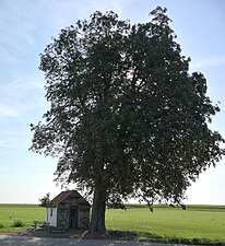 Kapel Onze-Lieve-Vrouw van Altijddurende bijstand