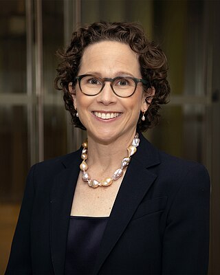 <span class="mw-page-title-main">Karen Dunn</span> American attorney