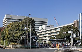 慶應 義塾 大学 看護 医療 学部