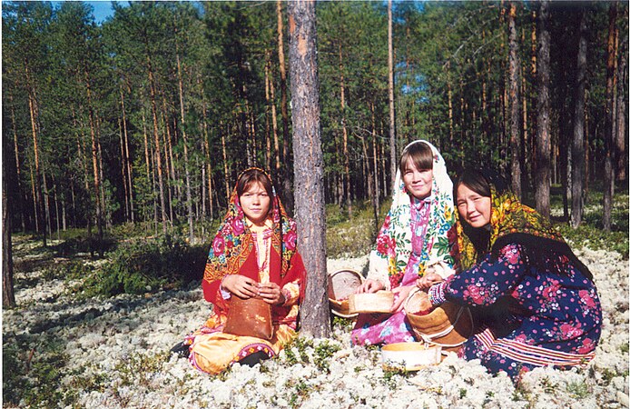 Соберу народ. Собирательство Ханты и манси. Собирательство дикоросов Ханты и манси. Ханты и манси сбор ягод. Ханты и манси летом.