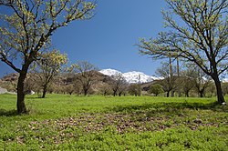 ذخیره‌گاه زیست‌کره دنا