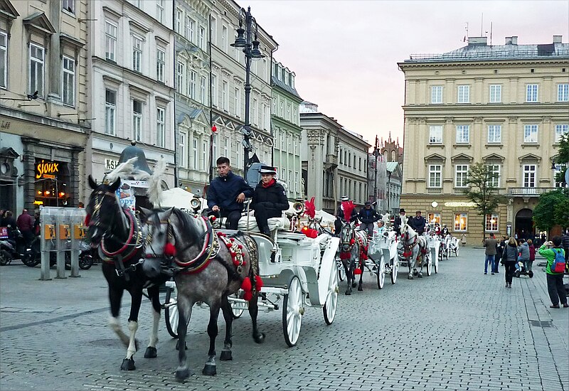 File:Krakau-Ring.jpg