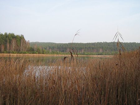 Krausnicker Berge Luchsee 02