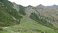 Deutsch: Blick von Bräualm auf gegenüber liegenden Hang, Krumltal, Pinzgau, Österreich