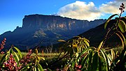 Vignette pour Gran Sabana (municipalité)