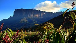 Venezuela: Nimi, Maantiede, Historia