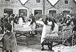 La conserverie de poissons Vallière à Loctudy (France), 1906.